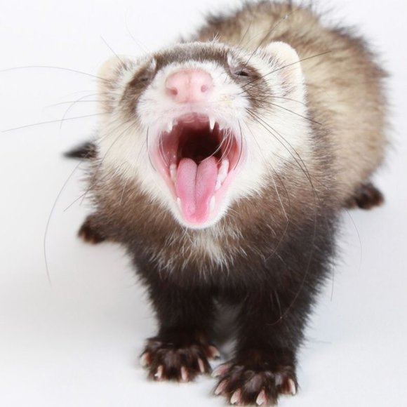 Meet your Posher, CGS💕Poshmark Ambassador💕 - Picture 6 of 10